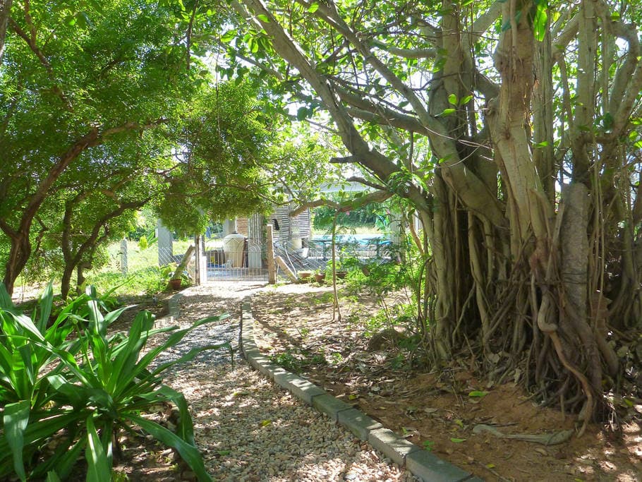 Tanto Far Beach Resort